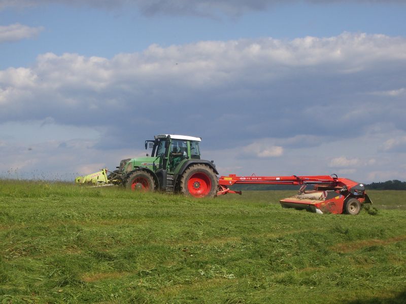 Fendt Vario 818 TMS 01.jpg